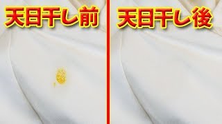 【インド人直伝】カレーが服についた時の対処法