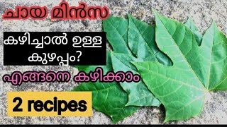 ചായമൻസ ചെടി ഉപയോഗിക്കുന്നതിന് മുമ്പ് ഇതുകൂടി അറിയണം.അല്ലെങ്കിൽ .....