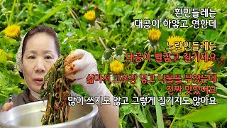 노란민들레는 먹지 못하는 줄 알았는데 삶아서 나물을 무치니까 정말 맛있네요 관절염 등 염증에 뛰어난 효능이 있다는 민들레 나물로 맛있게 드세요