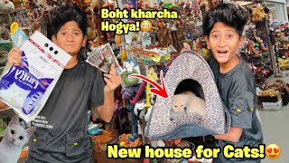 NEW HOUSE FOR CATS!😍BOHT MEHENGI SHOPPING KRADI CATS KO!🤑| VAMPIRE YT