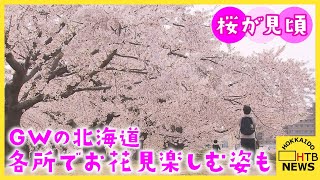 GWの北海道は桜が見頃　各所でお花見楽しむ姿も　新ひだか町　札幌・中央区　五稜郭公園　などなど