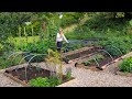 The Garden in August // Vegetable Garden, Polycrub, and Container Garden