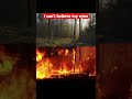 the burning bush vfx fire 2023short shorts youtubeshorts firevfx shortvideo in 2023