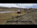 COYOTE TRAPPING- Sets and Checking