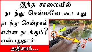 உலகின் மிக ஆபத்தான ரோடு இதுதான் | Worlds most Dangerous Road in Tamil | Cahills Crossing in Tamil