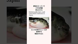 「フグ食うな」フグについての雑学