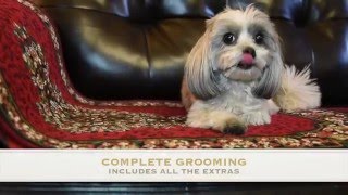 Best Dog Boarding in Burbank, CA | Dog Grooming, Doggy Day Care and lots more