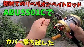 アブガルシア　アンバサダー 5501CSと初めてのリベリオン ベイトロッドでカバー撃ち試した【紀ノ川　バス釣り】