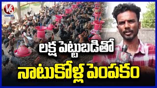 Young Farmers Steps Towards Country Chicken  Farming  | Natu Kolla Pempakam  | Mancherial | V6 News