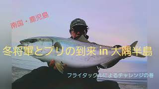 ２０２４年１月８日　仕事後の道草フィッシング　フライタックルによるブリ in 鹿児島・大隅半島