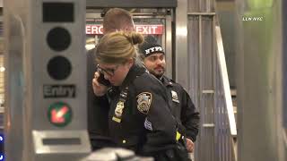 Person Assaulted with Cane in Subway / Manhattan NYC 11.19.22