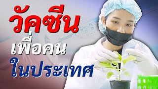 คนไทยโชคดีที่มีนักวิจัยทำโครงการ 'วัคซีนเพื่อคนไทย' โดยหวังให้ประชาชนมีส่วนร่วม คาดสำเร็จปลายปี 64