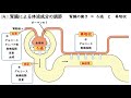 生物基礎【第14回 腎臓による体液成分の調節】オンラインで高校授業