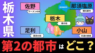 【栃木県 第2、第3の都市はどこ？】小山、佐野、足利、栃木、那須塩原の都会度を徹底比較！！