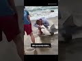 This Fisherman Pulled A #Shark He Caught Onto The Beach