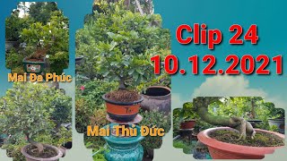 Clip 24 - Mai Thủ Đức - 700K- 1Tr5 - 10.12.2021 - 0938 47 33 22