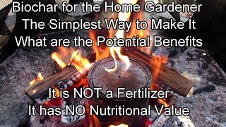 Biochar/Biomass Charcoal for the Home Gardener: The Simplest Way to Make It, Benefits, What is It?