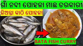 ପୋହଳା ମାଛ ତରକାରୀ | Pohala Fish Curry Recipe | Gota Macha tarkari | Odia Authentic | Sumita Lifestyle