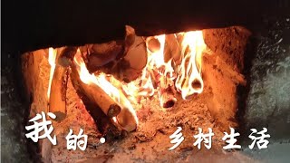 在林场买房定居的哈尔滨夫妻，冬藏，好冷，一天三把火