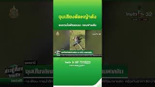 ฉุนเสียงตัดหญ้า ไลฟ์ธรรมะไม่ได้ จอบฟาดดับ | ThairathTV