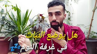 هل وجود النبات في غرفة النوم ضار