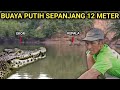 MUNCULNYA BUAYA BESAR SAAT KAMI MENJALA UDANG