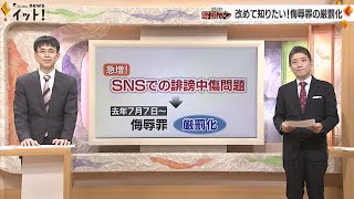 改めて知りたい！ 侮辱罪の厳罰化（解説マン）