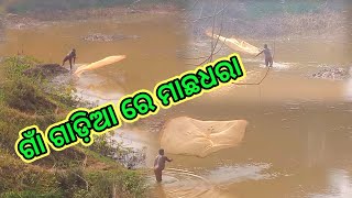 ଗାଁ ଗାଡ଼ିଆ ରେ ମାଛଧରା ର ମଜା || Village Fishing || @Odia_Vlogger_Butu_Bhai