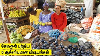 கேமரூன் பற்றிய 5 ஆச்சரியமான உண்மைகள் | 5 AMAZING THINGS ABOUT CAMEROON