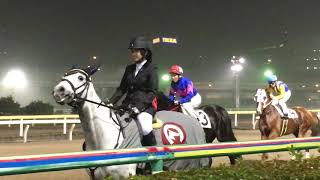 2018.11.9 船橋🐎12R  リュウノプリンス\u0026坂井英光騎手 本馬場入場