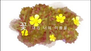 사랑하는 사람에게... 꽃마리(진실의 사랑)