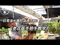 日常浇水真的浇透了吗？老花医手把手教学/Is the daily watering really well done