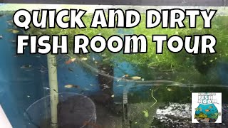 Quick and Dirty Fish Room Tour