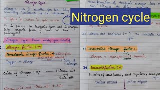 Nitrogen cycle || nitrogen fixation || what is nitrogen cycle