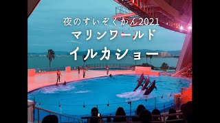 マリンワールド 夜のすいぞくかん2021 イルカショー