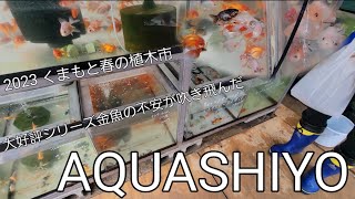 【AQUASHIYO】第二弾くまもと春の植木市‼️‼️