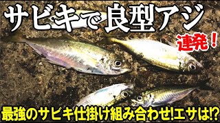 真冬の漁港で良型アジが連発した！【ケイムラサビキと遠投ウキ】大きいアジでウキが沈む瞬間！釣果が２倍になる最強のサビキ仕掛けとテクニック【必殺のエサ】