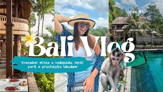 Bali vlog 1 | Magické svatební místo u vodopádu, návštěva opičího parku a procházka po Ubudu #bali