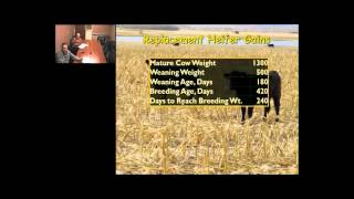 Backgrounding Cattle 2014: Developing Replacement Heifers