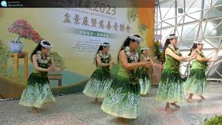 藝文推廣-無分齡夏威夷舞～光輝進行曲HULA DANCE