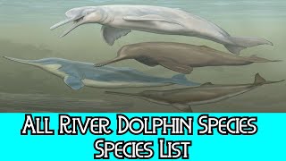 All River Dolphin Species - Species List