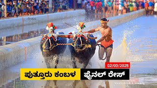 Puttur Kambala Final race 2025 | ಪುತ್ತೂರು ಕಂಬಳ  ಫೈನಲ್ ರೇಸ್