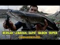 BERKAH IDUL FITRI‼️DAPAT IKAN GABUS SUPER BESAR || SNAKEHEAD FISH