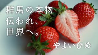 群馬の本物　伝われ！世界へ。やよいひめ編｜ぐんまブランド推進課｜群馬県