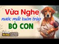 Vừa nghe nước mắt đã tuôn trào 