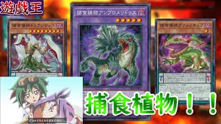 【遊戯王】捕食植物ver2022!!【遊戯王ADS】