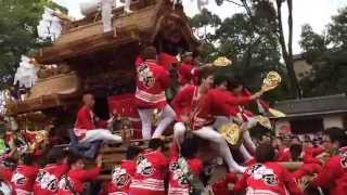 2014年10月11日　錦織神社　甲田青年団