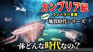 【ゆっくり解説】帰ってきた地質時代シリーズ  カンブリア紀ドラミアン期とは一体何なのか？