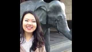 How to say elephant in Mandarin Chinese -- 大象 dà xiàng