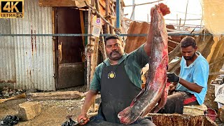 KASIMEDU 🔥 SPEED SELVAM | BIG THELI (CAT) FISH CUTTING | IN KASIMEDU | 4K VIDEO | FF CUTTING 🐠🔪🐟